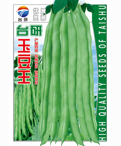 臺(tái)研玉豆王