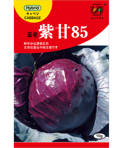 亞非紫甘85