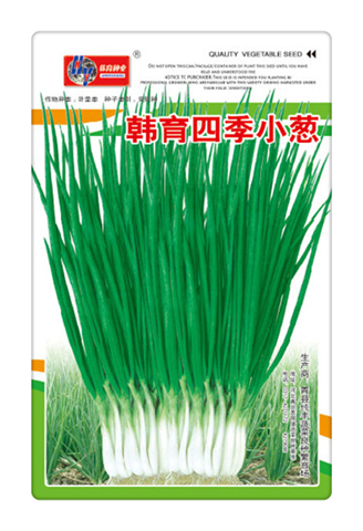 韓育四季小蔥