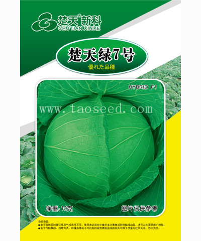 楚天綠7號