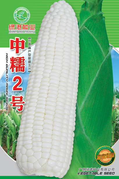 中糯2號(hào)