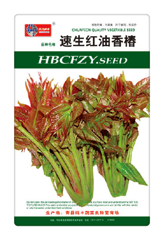 速生紅油香椿