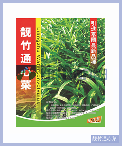 靚竹通心菜