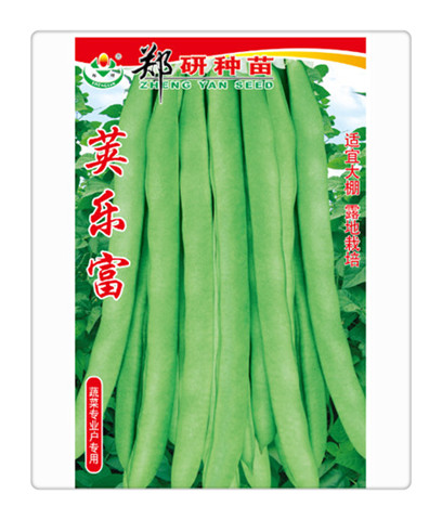 莢樂富（蕓豆）
