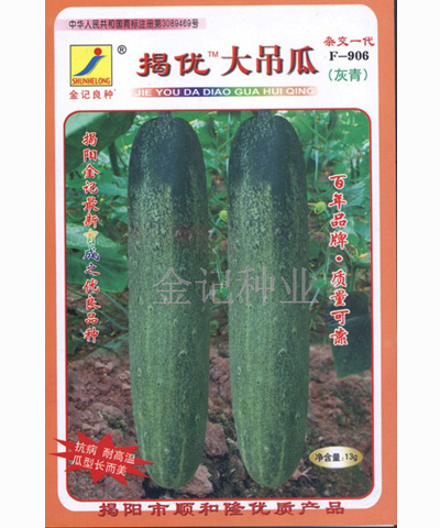黃瓜種子：揭優(yōu)灰青大吊瓜種子F-906