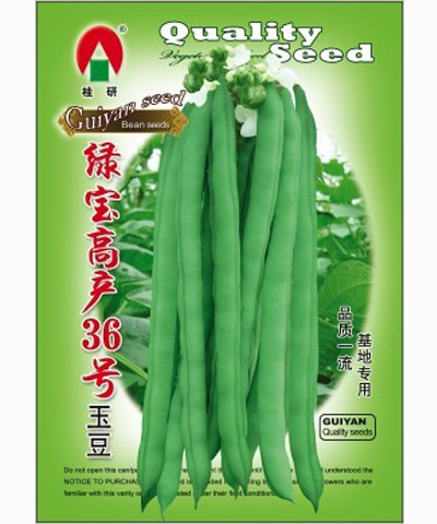 綠寶高產(chǎn)36號(hào)玉豆