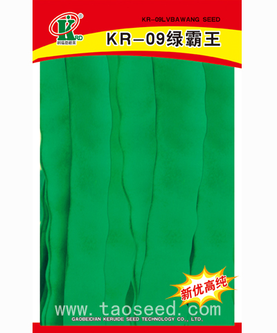 KR-09綠霸王