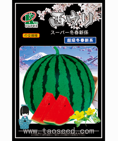 超級冬春新系