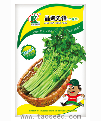 晶嫩先鋒