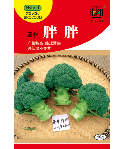 亞非胖胖