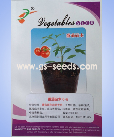 番茄砧木6號