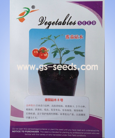 番茄砧木8號