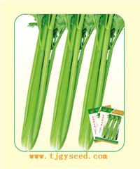 天津?qū)嵭那? /></a></div>
                  </td>
                  <td width=