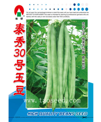 泰秀30號(hào)玉豆