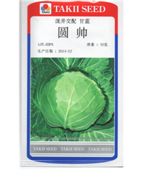 亞非圓帥