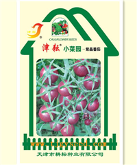 小菜園紫晶番茄