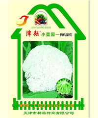 小菜園有機菜花