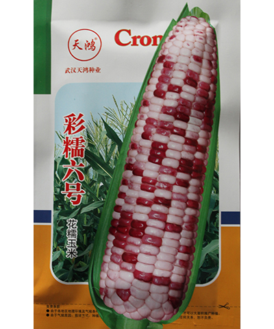 彩糯六號