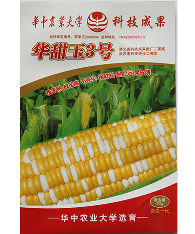 華甜玉3號