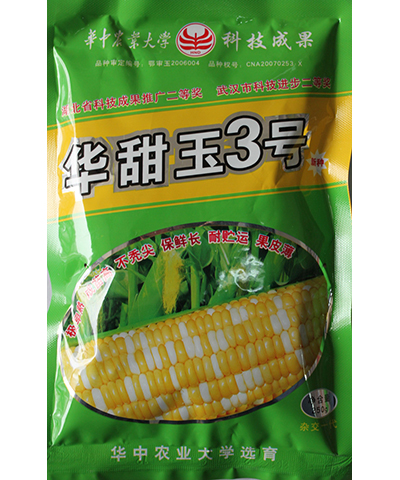 華甜玉3號