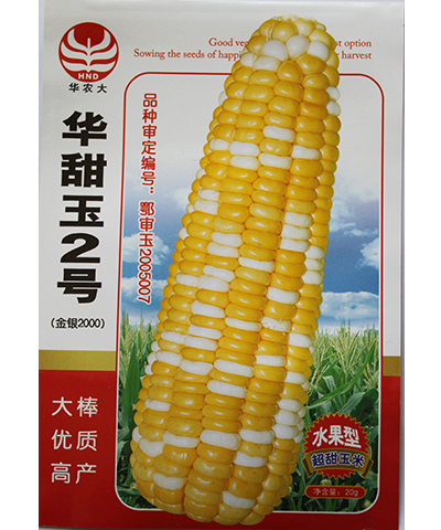 華甜玉2號