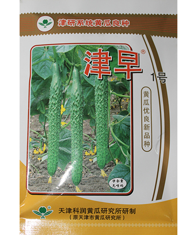 津早1號(hào)
