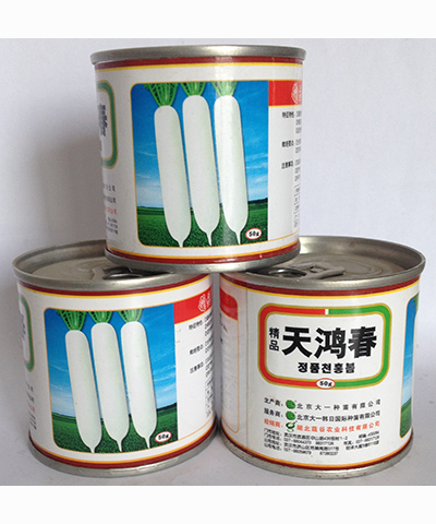 精品天鴻春