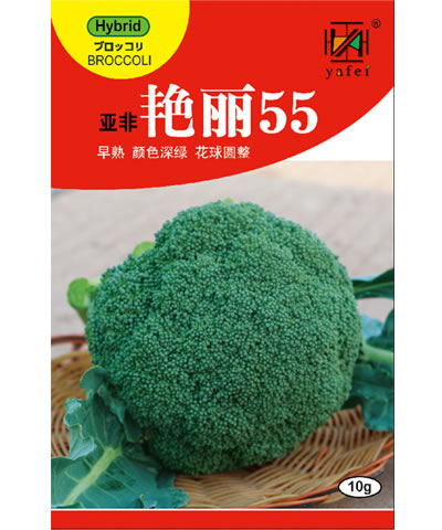 艷麗55