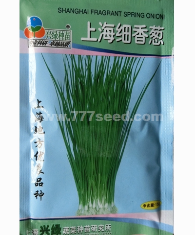 上海細(xì)香蔥