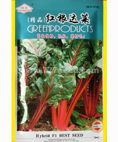 紅根達(dá)菜