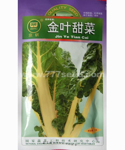 金葉甜菜