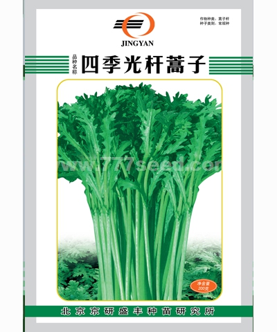 四季光桿蒿子