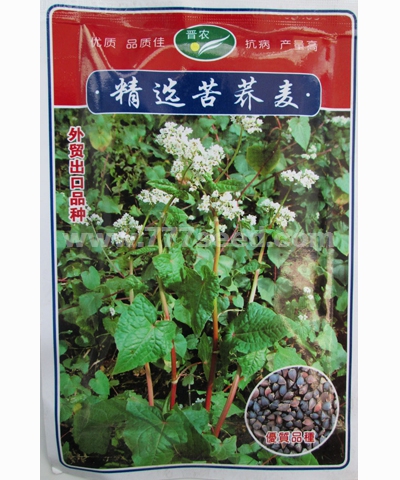 精選苦蕎麥