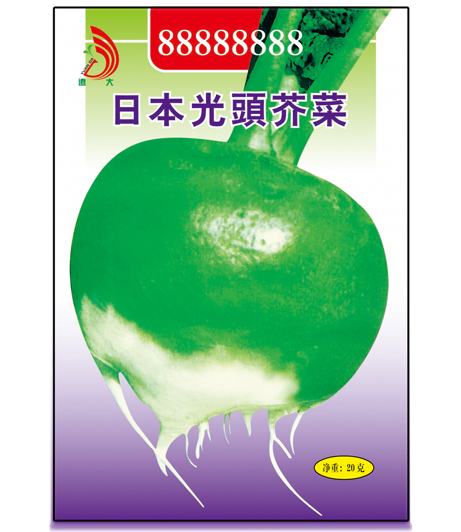 日本光頭芥菜20g