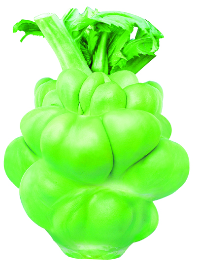 種都榨菜