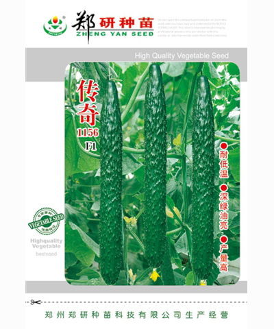 傳奇1156