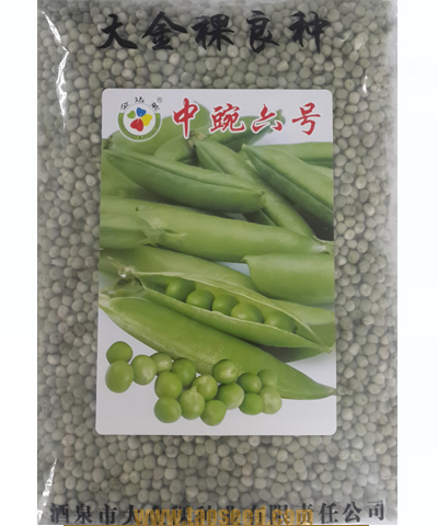 中豌六號：