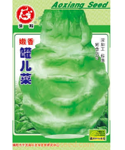 嫩香罐兒菜