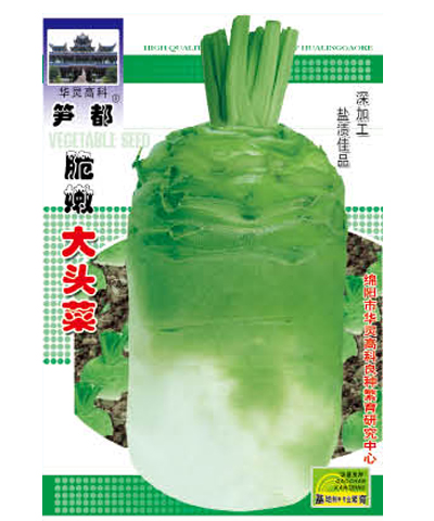 脆嫩大頭菜