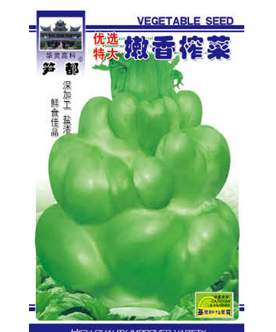 優(yōu)選特大嫩香榨菜