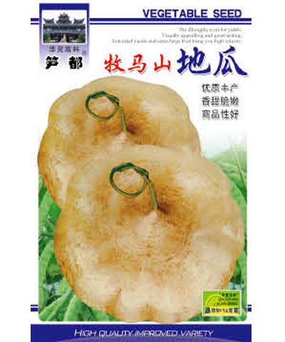 牧馬山地瓜
