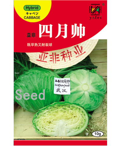 亞非四月帥