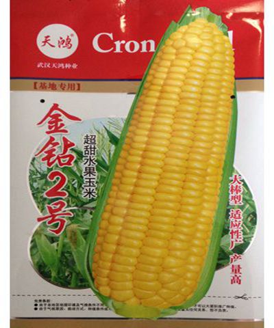金鉆2號