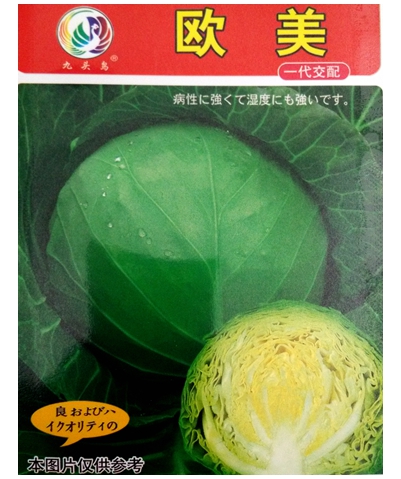 歐美