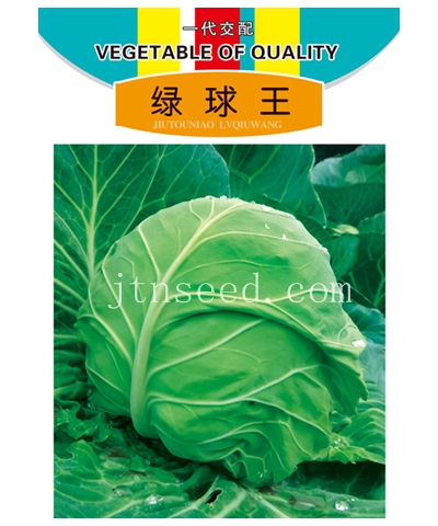 綠球王