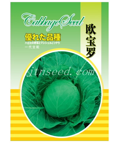 歐寶羅