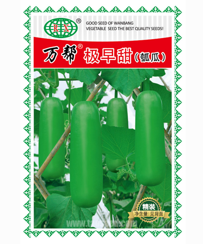 萬幫極早甜瓠瓜