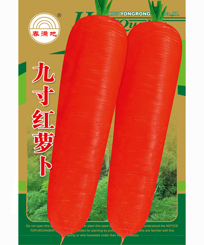 九寸紅蘿卜