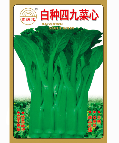 白種四九菜心