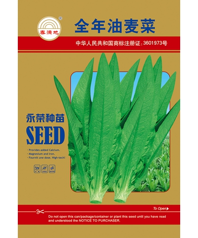 全年油麥菜